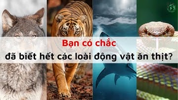 Bạn có chắc đã biết hết các loài động vật ăn thịt?