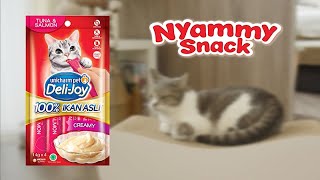 Deli-Joy Nyammy Snack 60s