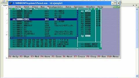 Programando en Assembler Parte5