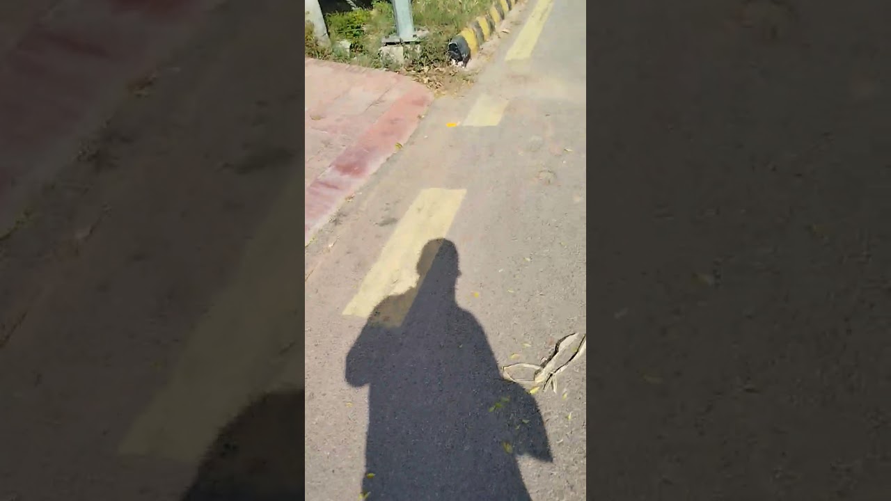 HORTICULTURE AND GARDENING |   