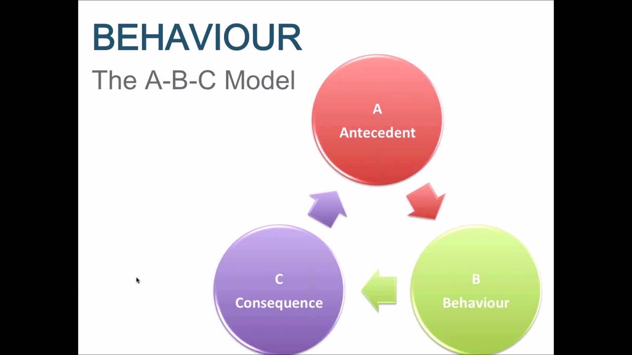 Real Schools Webinar "Leading a Bully Proof School Culture" - November 2015