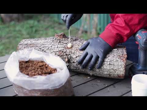 Product Video