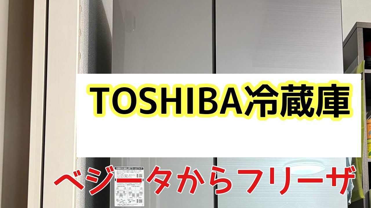 Replacing my TOSHIBA VEGETA refrigerator with a Freezer model