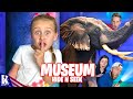 Hide and Seek INSIDE the Smithsonian Museum / K-City Family