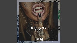 Train - DIPIENS