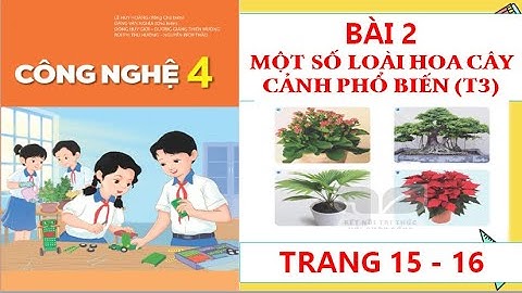 CÔNG NGHỆ 4: BÀI 2:MỘT SỐ LOÀI HOA CÂY CẢNH PHỔ BIẾN (T3) MỚI NHẤT