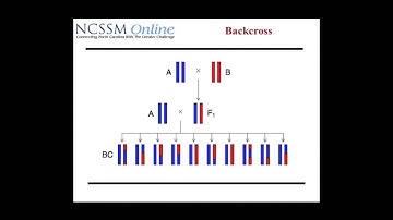 Intro to Computational Biology