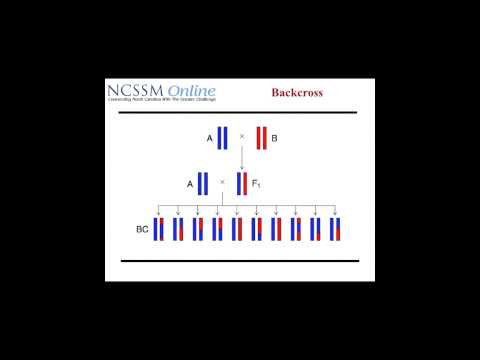 Intro to Computational Biology