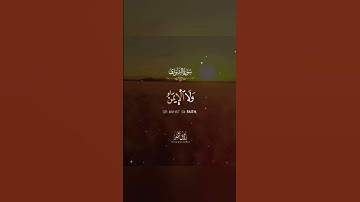 وكذلك أوحينا إليك روحا من أمرنا ما كنت تدري ما الكتاب ولا [ الشورى: 52] القارئ طارق محمد