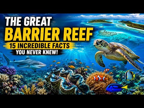 Great Barrier Reef: The Hidden World Beneath the Ocean šš