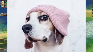 Eternal Pirates Online Epo Shanzie Chaos Argent Pk Smashing Nabs Pk Pk