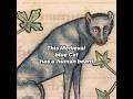 An Ugly Medieval Cat..1270 A.D #art #history #painting #medievalanimals #medievalart #cat #cats