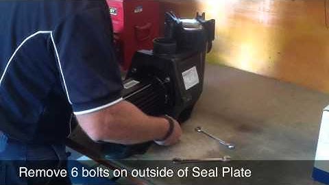 Viron eVo Pumps - Servicing the Wetend