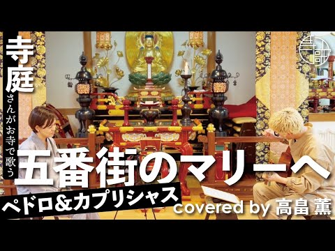 【寺歌】お寺の奥さんがお寺で歌うペドロ&カプリシャスの「五番街のマリーへ」（Covered by 高畠薫）