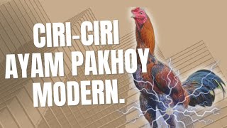 CIRI-CIRI AYAM PAKHOY