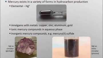CAPE-OPEN Models for Hg Speciation and Partitioning Flowsheet Development