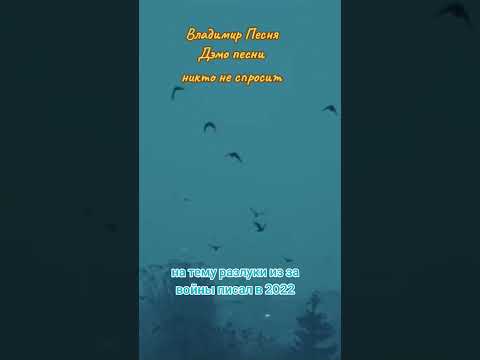 Владимир Песня / никто не спросит #shortshorts #shortsvideo #shorts