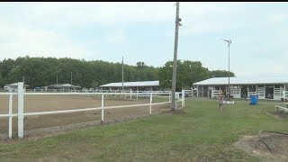 Day 2 of fair features horses and Civil War history