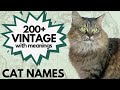 Unique Vintage Cat Names | Boy and Girl Cat Names | Traditional Vintage Cat Names