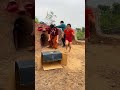 2 Ferocious Gorilla Monsters Attack 3 Beautiful Brave Girls And A Young Man Screams In Fear