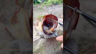 Cây Gỡ Lưỡi Mồi Nhái Hơi, Móc Câu Cá Lóc, Cá Trê Siêu Tốc