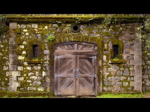 A Brief History Of Inglenook With Francis Ford Coppola
