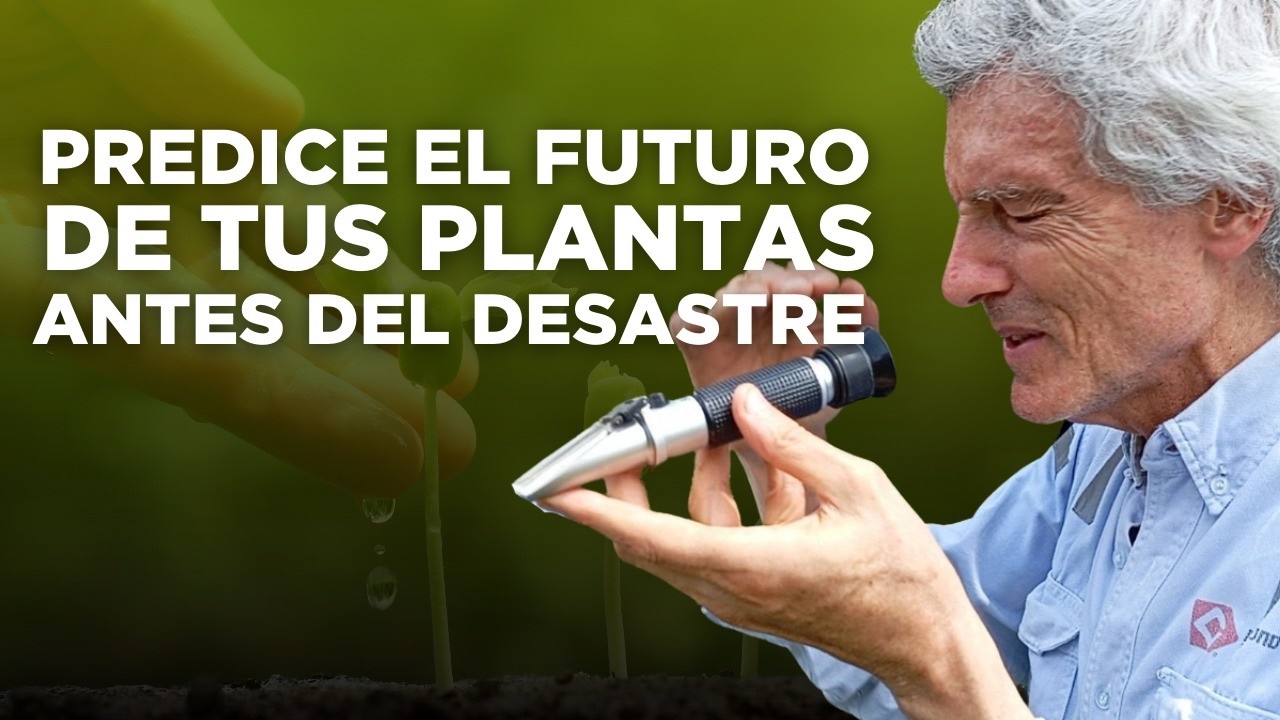 Anticipa los problemas antes de que destruyan tus cultivos