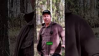 Marteloscopes: helping forest owners see their forest differently #sustainability #forestry