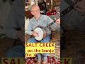 Salt Creek, with Piper #piperisadog #banjo #bluegrassmusic
