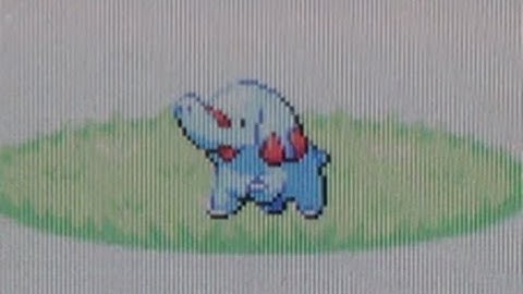 Live Shiny Phanpy After 14,032 REs! (Pokemon FireRed)
