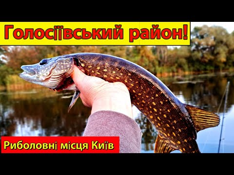 Рибалка в Києві