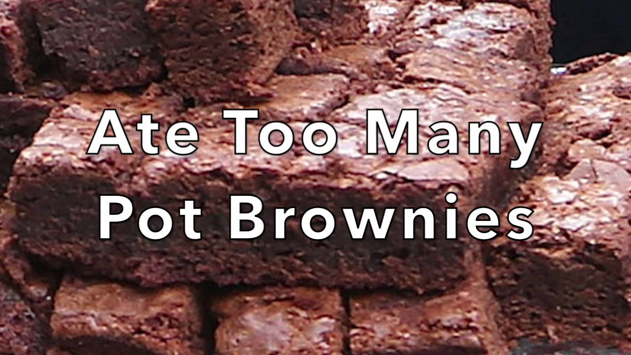 Ate Too Many Pot Brownies Youtube