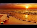 1 hour relaxing sleep music sleep therapy deep sleep music insomnia spa study sleep101