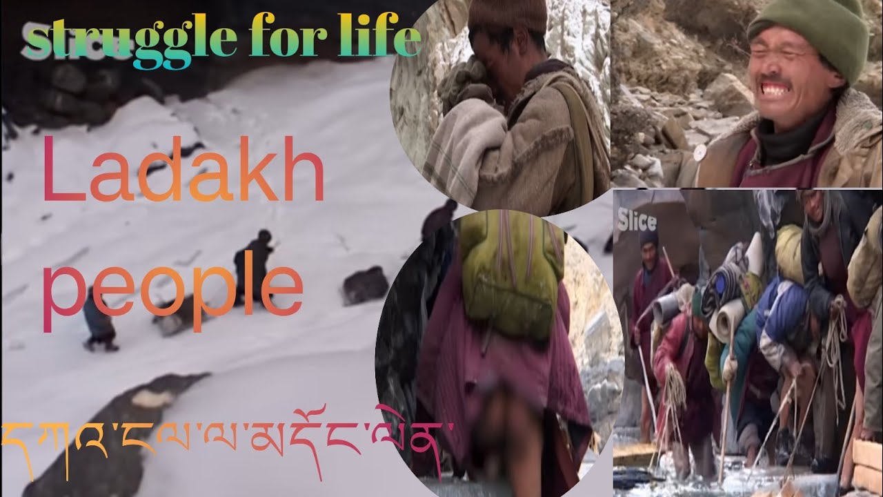 Struggle of ladakh people//situation of ladakh life condition 
