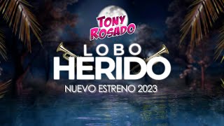 Tony Rosado - Lobo Herido (VideoLyric)