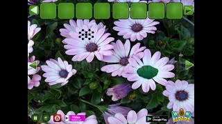 WOW Blooming Flowers Land Escape Walkthrough [WOWEscape]