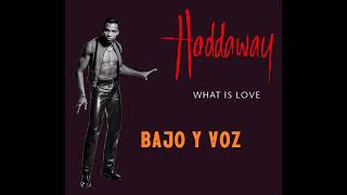 HADDAWAY WHAT IS LOVE BAJO Y VOZ