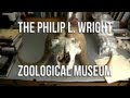 The Philip L. Wright Zoological Museum