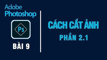 Hướng dẫn cắt ảnh trong Photoshop | Phần 2.1 Các trường hợp cắt ảnh