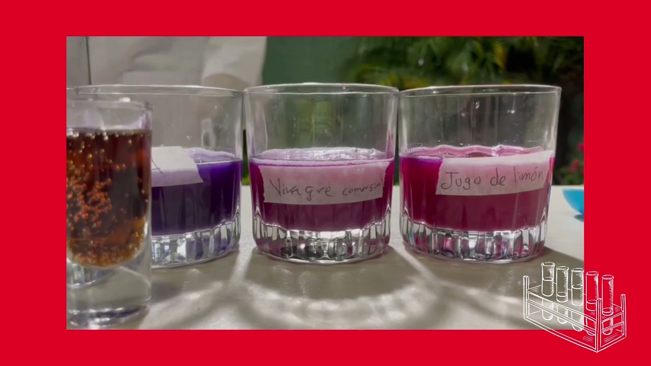 Elaboración de un indicador de pH a partir de col morada - YouTube