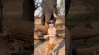 FEEDING FRENZY! Elephants love treats from kids