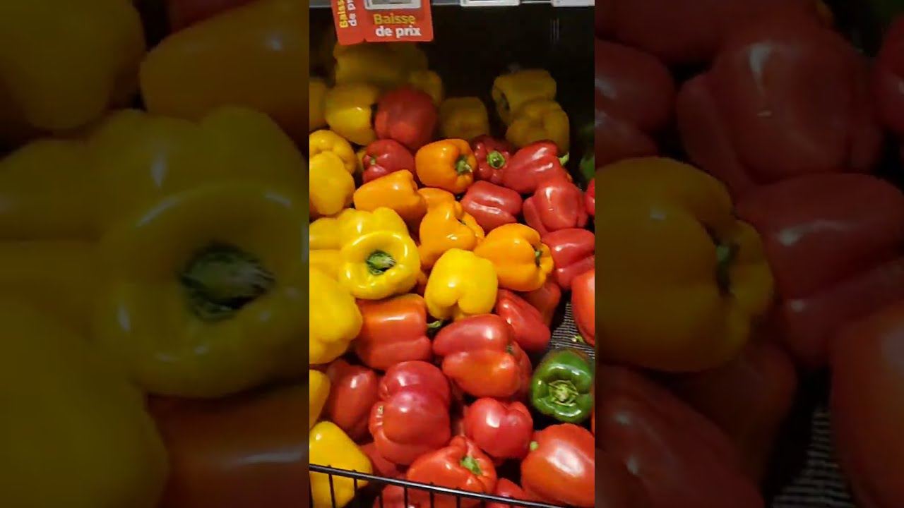 [Vlog] Live saat Belanja di Maxi, Parc Extension, Montreal.