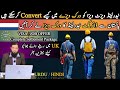 Visit Visa Into Netherlands Work Visa || Direct Netherlands Work Visa || Travel and Visa Services 