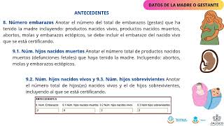 M3 Guide to Capturing, Generating, and Managing the Electronic Birth Certificate (CEN)