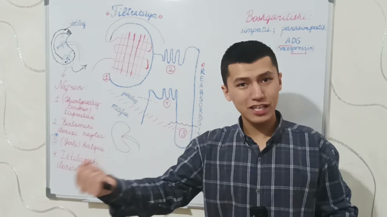 Ayirish sistemasi (oʻrta taʼlim darajasida) (abituriyent va maktab oʻqituvchilari uchun)