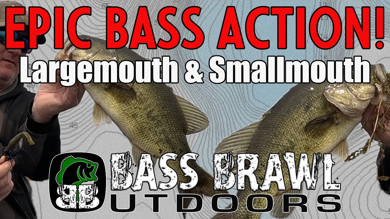 Epic Largemouth & Smallmouth Bass Fishing Action! Big Catches, Big ...