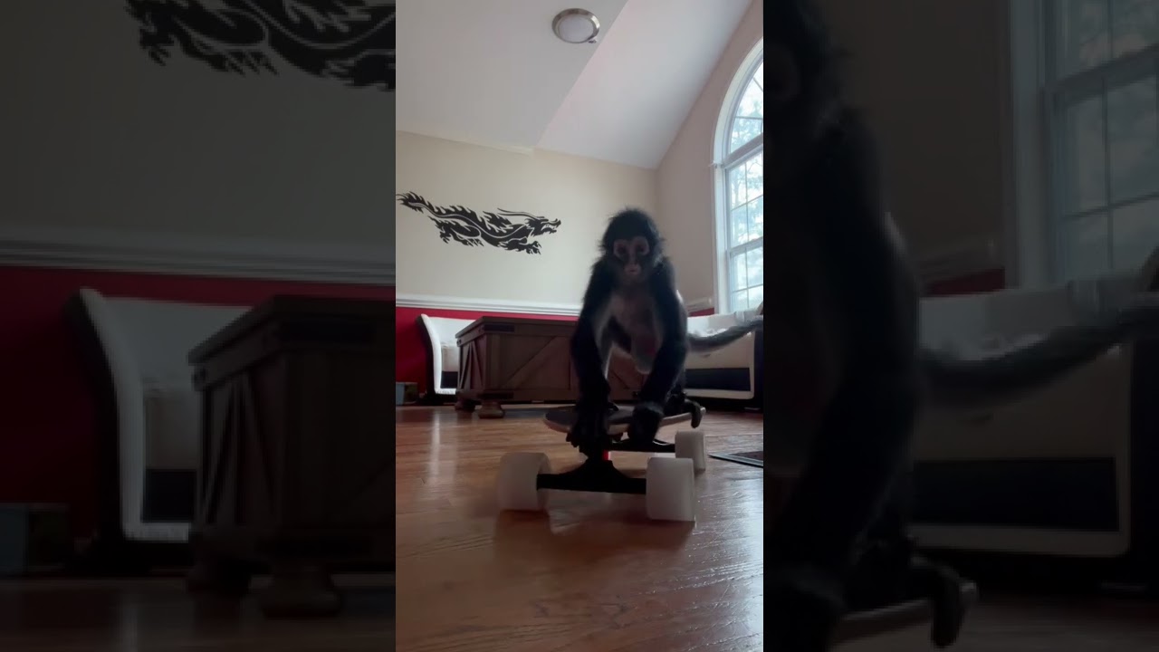 Keke said no cameras please 🤣 