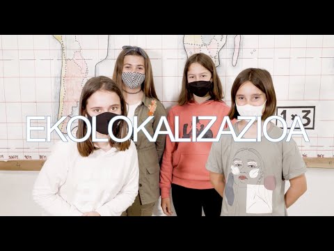 Elgoibarko Herri Eskola LH6: Ekolokalizazioa