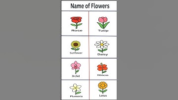 English Vocabulary | Beautiful Flowers Names with Pronunciation #englishvocabulary #spokenenglish
