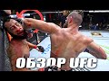 Нокаут ГОДА! Бой Иржи Прохазка vs Доминик Рейес | Обзор UFC | Свонсон - Гига Чикадзе, Двалишвили.